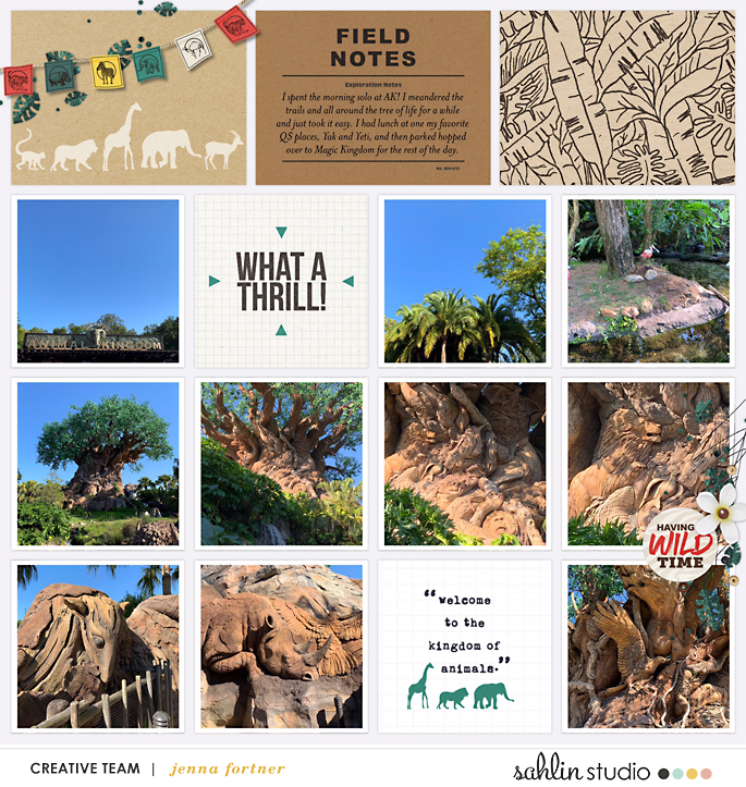 Tree Of Life Animal Kingdom