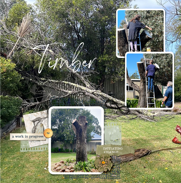 Tree-rp-