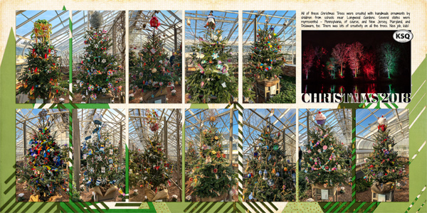 Trees at Longwood Gardens