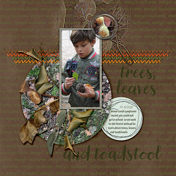 Trees, Leaves And Toadstools