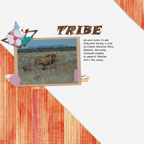 Tribe