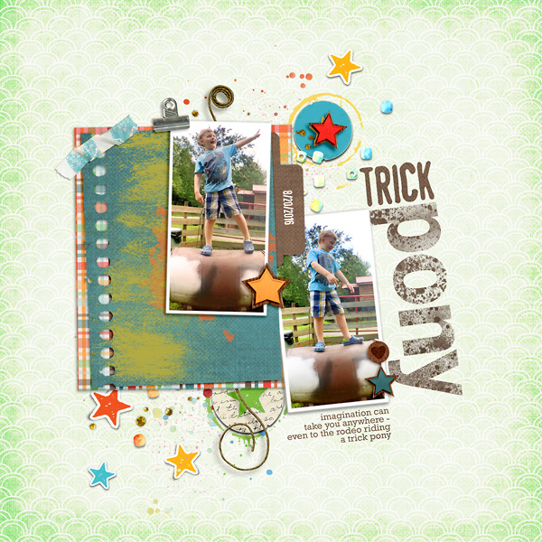 Trick Pony