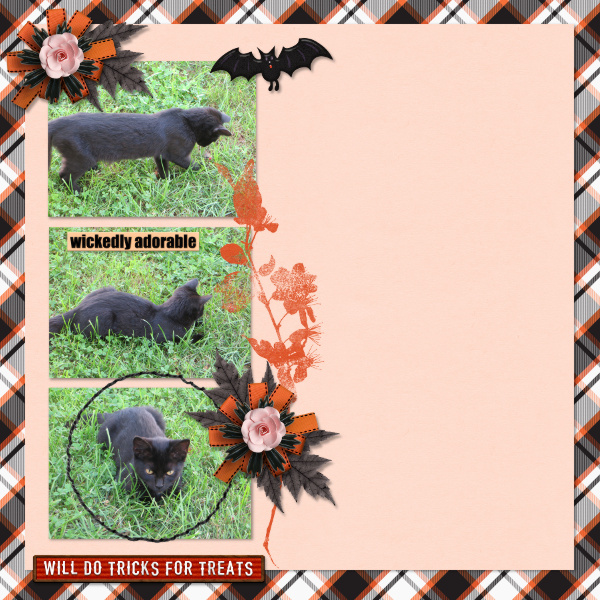 Tricks for Treats
