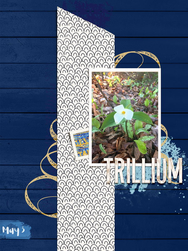 Trillium