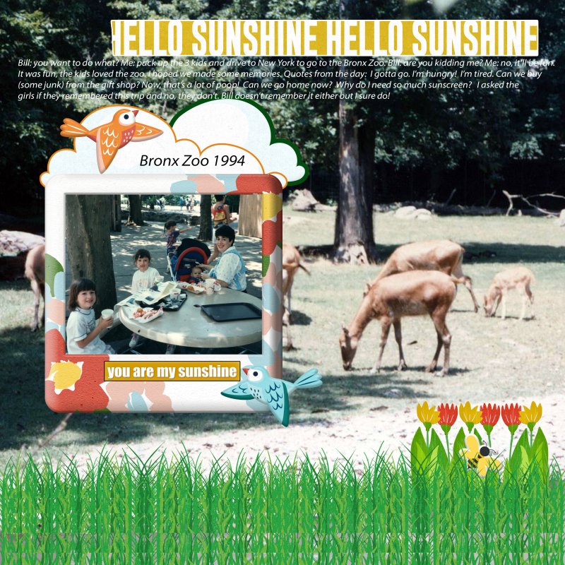 Trip To The Bronx Zoo 1994