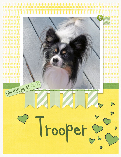Trooper-2-5-17