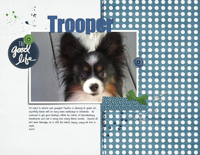 Trooper---The-Good-Life