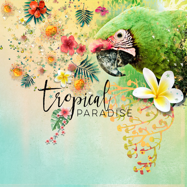 Tropical-fusion-1