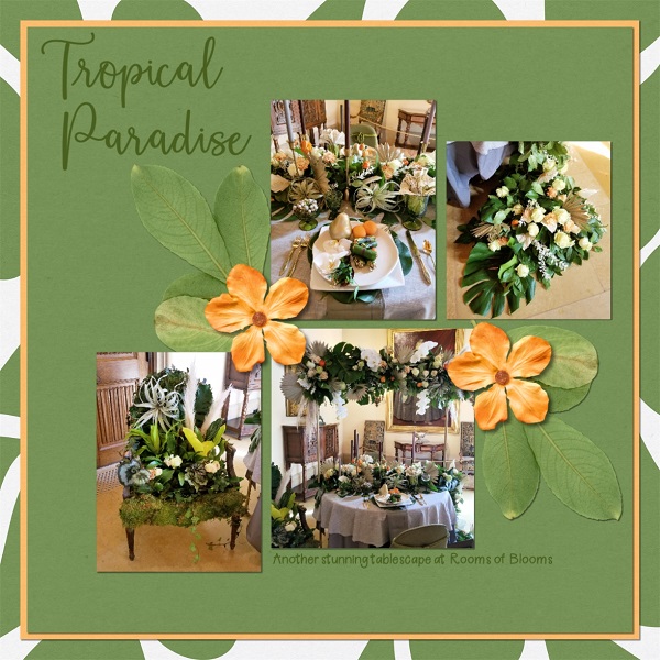 Tropical Paradise