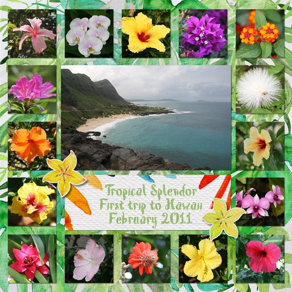 Tropical Splendor