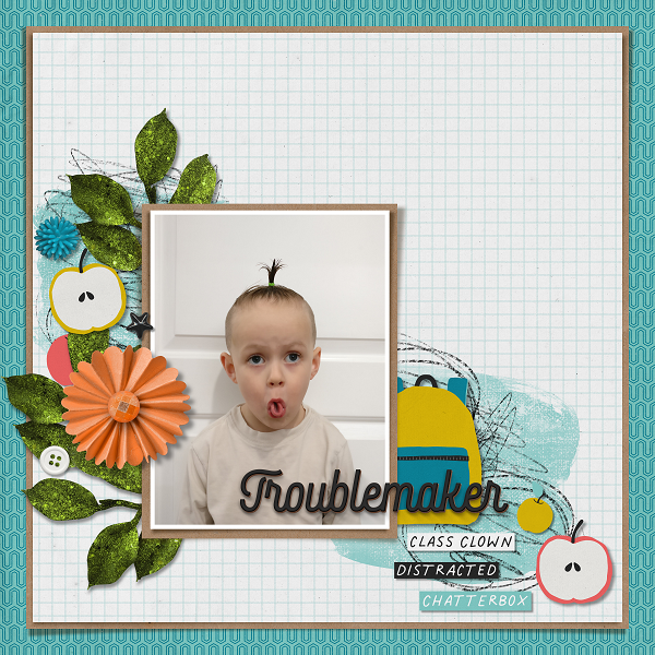 Troublemaker