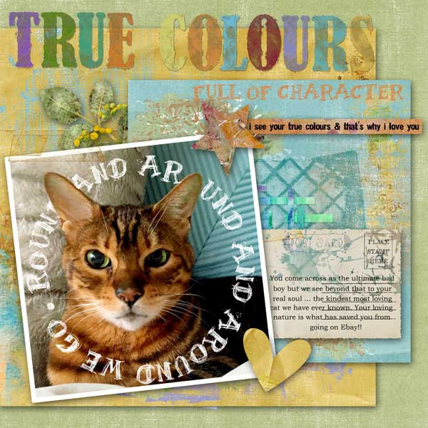 True Colours