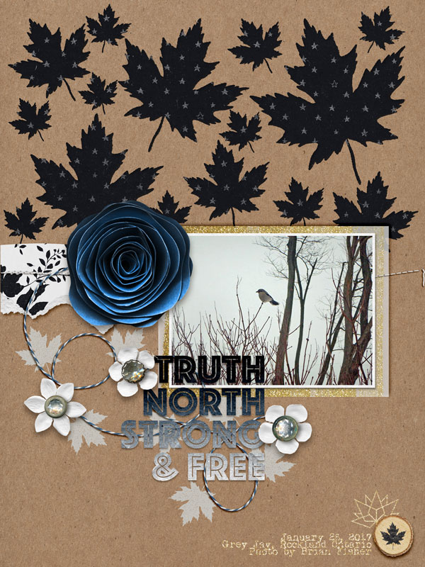 True North