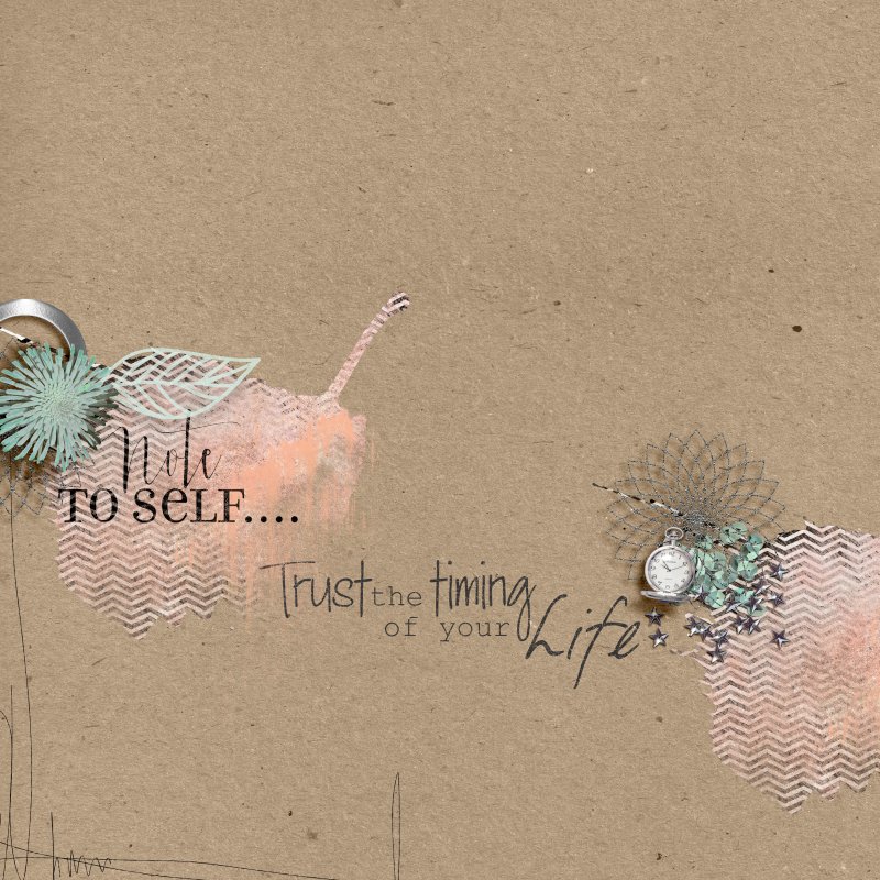 Trust The Timing Of Your Life