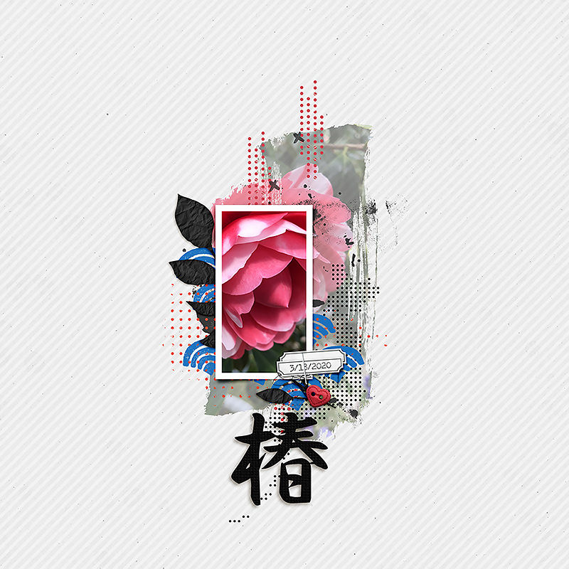 Tsubaki (Camellia)
