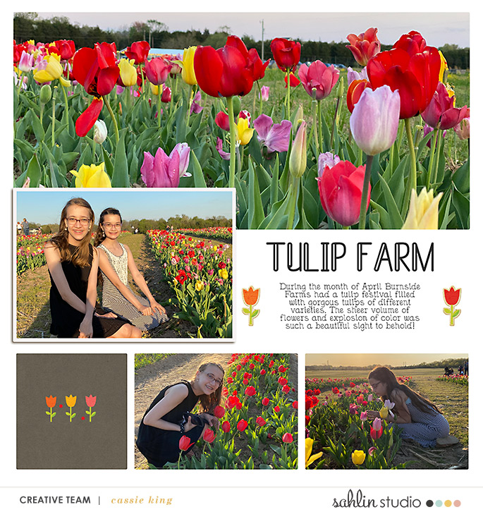 Tulip Farm