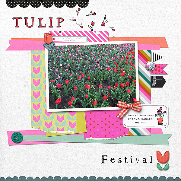 Tulip Festival