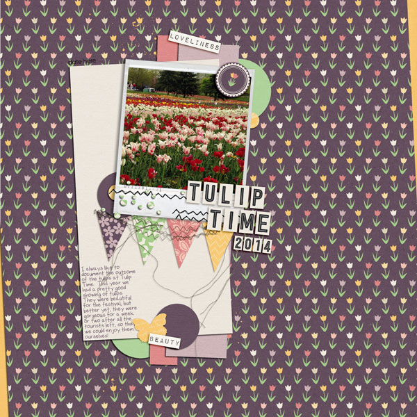 Tulip Time 2014