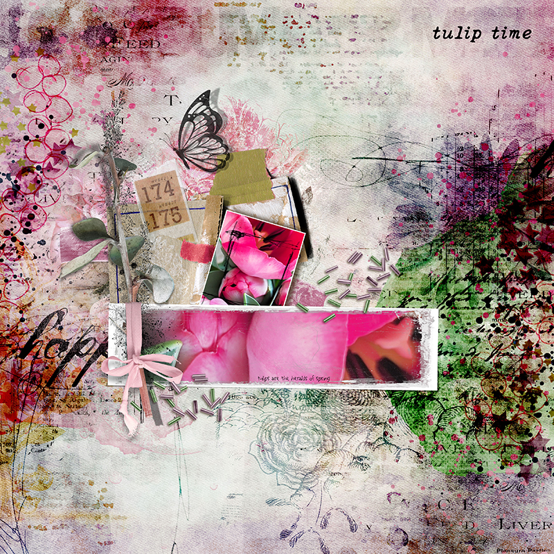 Tulip-time