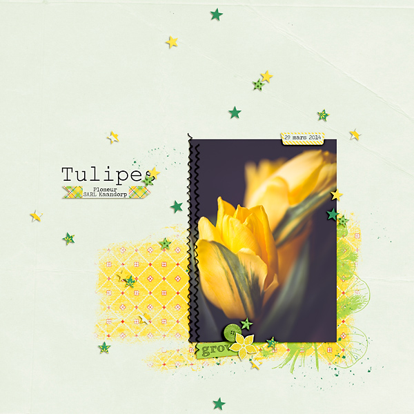 Tulipes