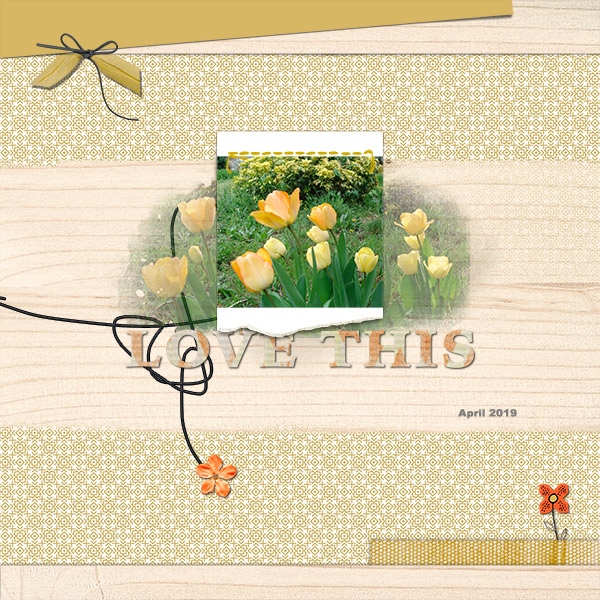 Tulipes