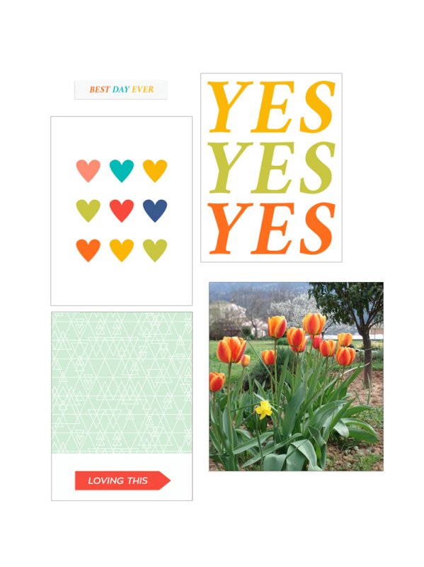 Tulipes