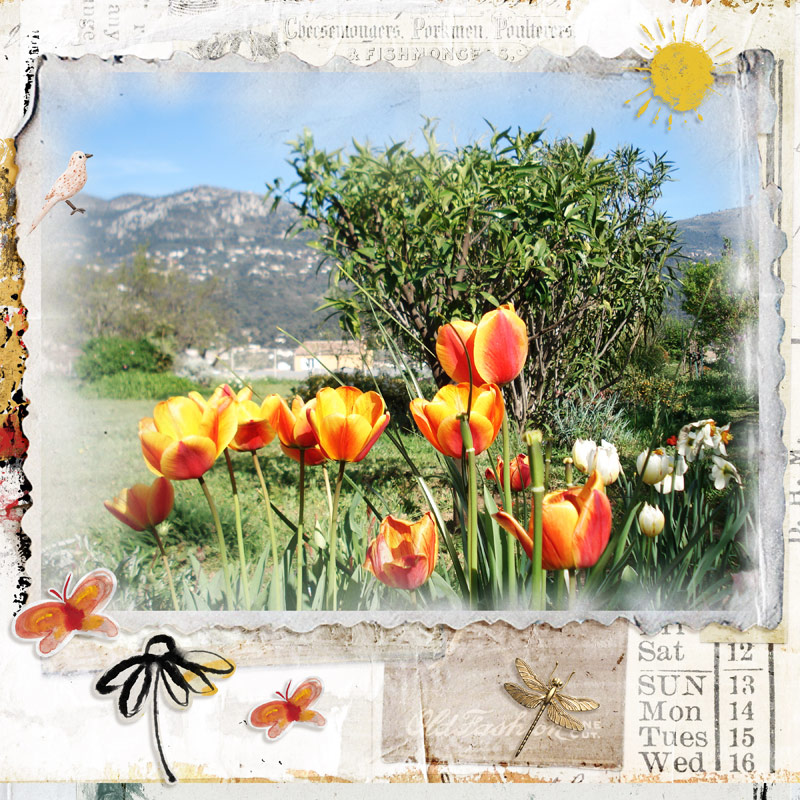 Tulipes