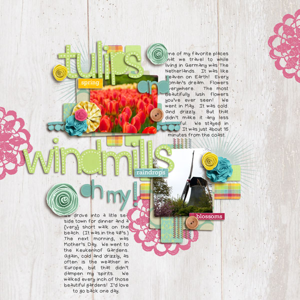 Tulips and Windmills, Oh My!