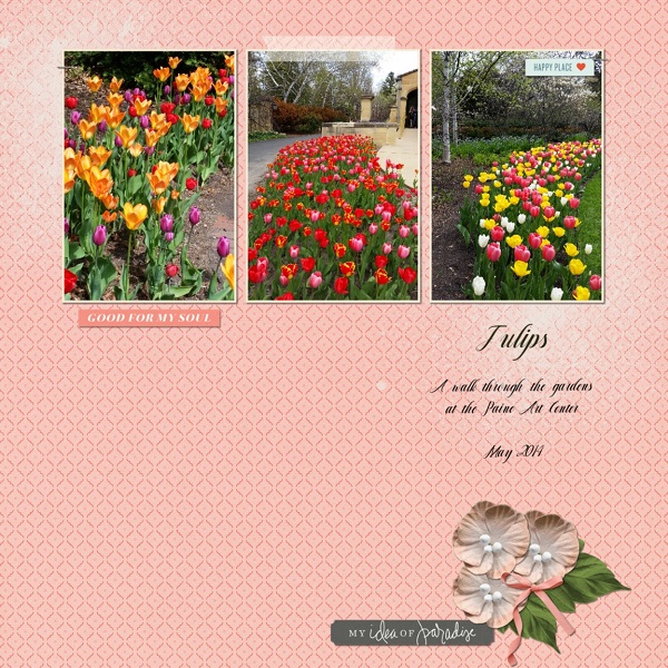 Tulips At The Paine