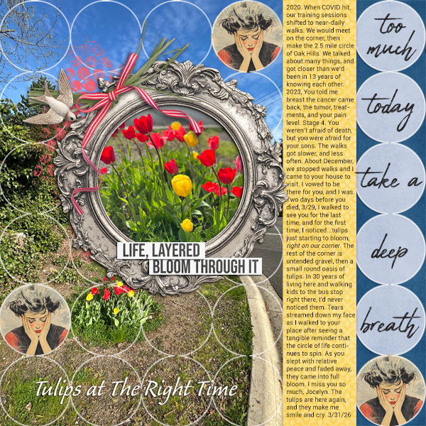 Tulips At The Right Time.jpg