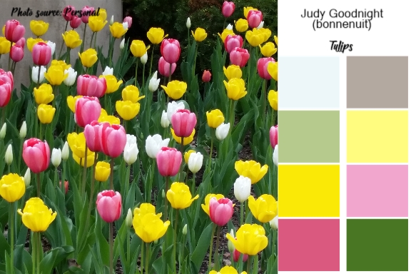Tulips Color Palette