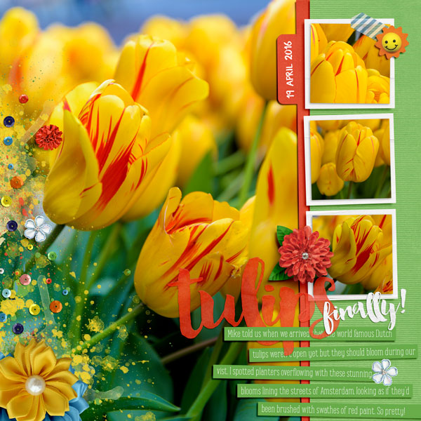 Tulips, finally! (BYOC Challenge May 2016)