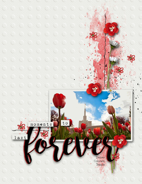 tulips photo challenge