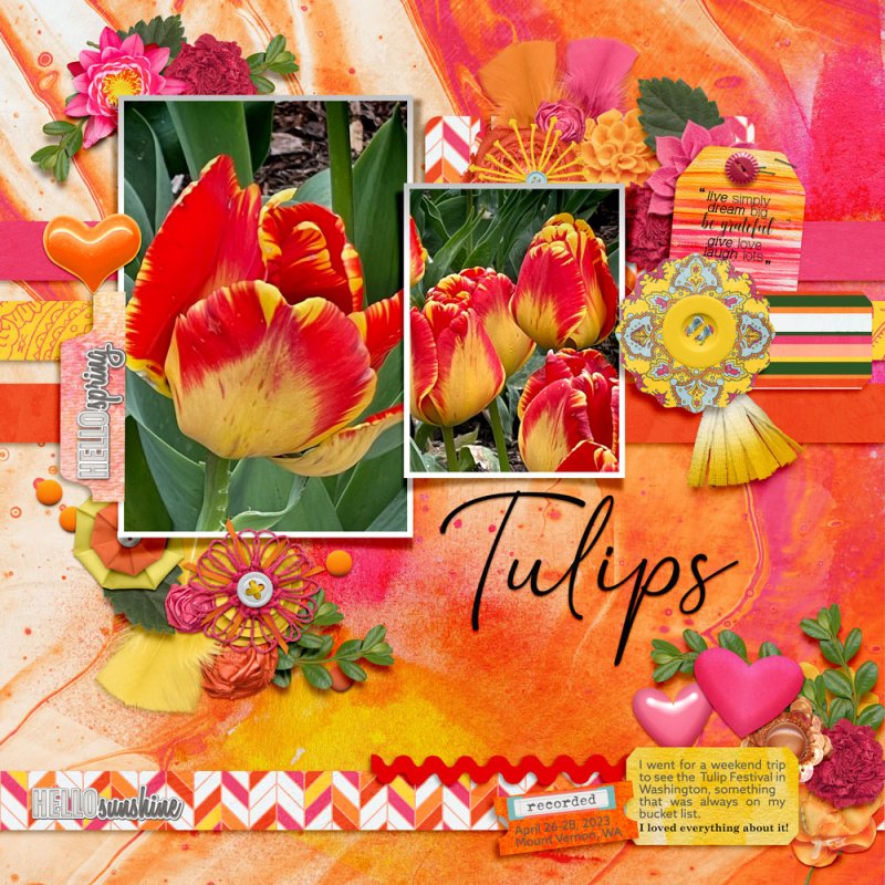 Tulips