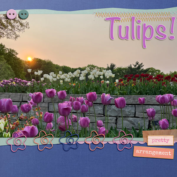 Tulips