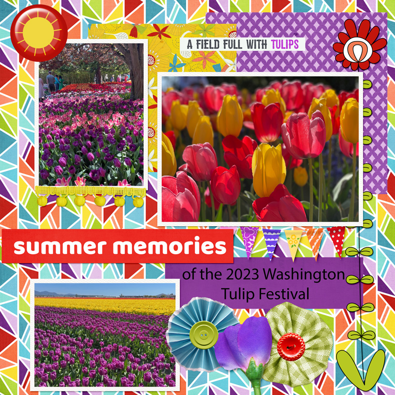 Tulips
