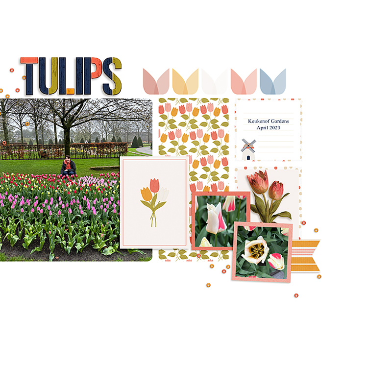 Tulips