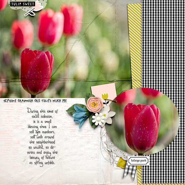 Tulipsweet