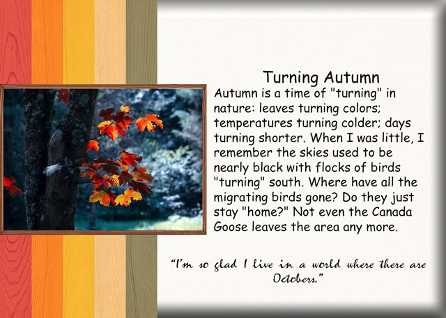Turning-Autumn
