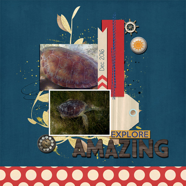 Turtle-At-Brewers