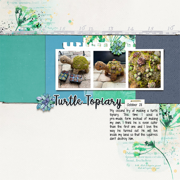 Turtle Topiary
