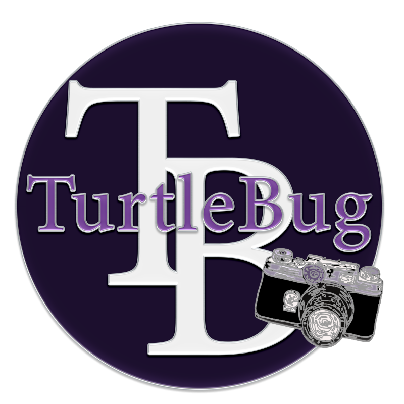 Turtlebugpin