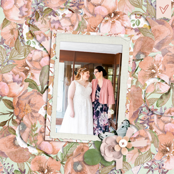 Tw1717-tlp-1-19-20-cut Out Background