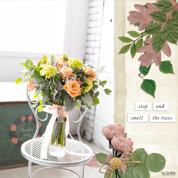 Tw1717-tlp-1-21-20-organic Botanicals