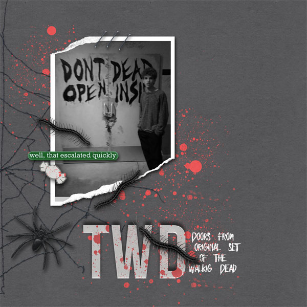 TWD Doors