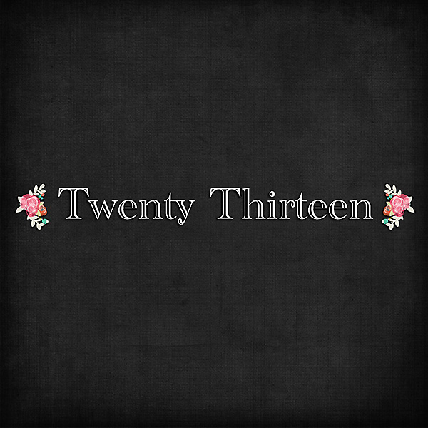 Twenty Thirteen Cover