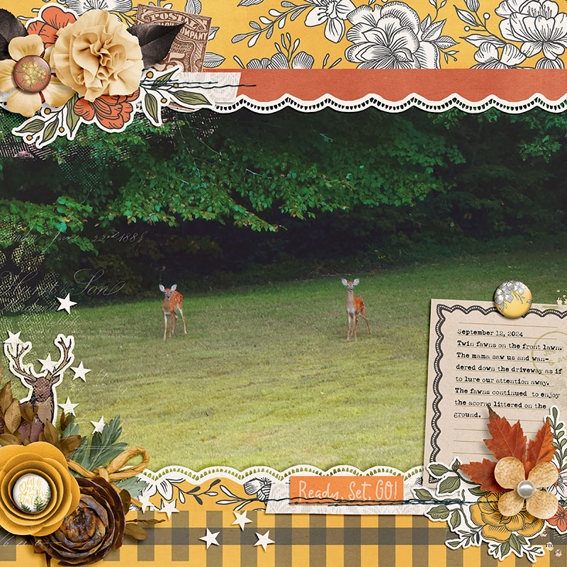 Twin Fawns Sep '24