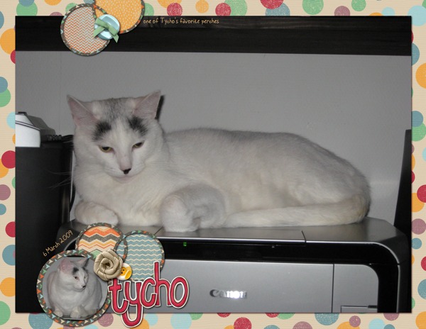 Tycho