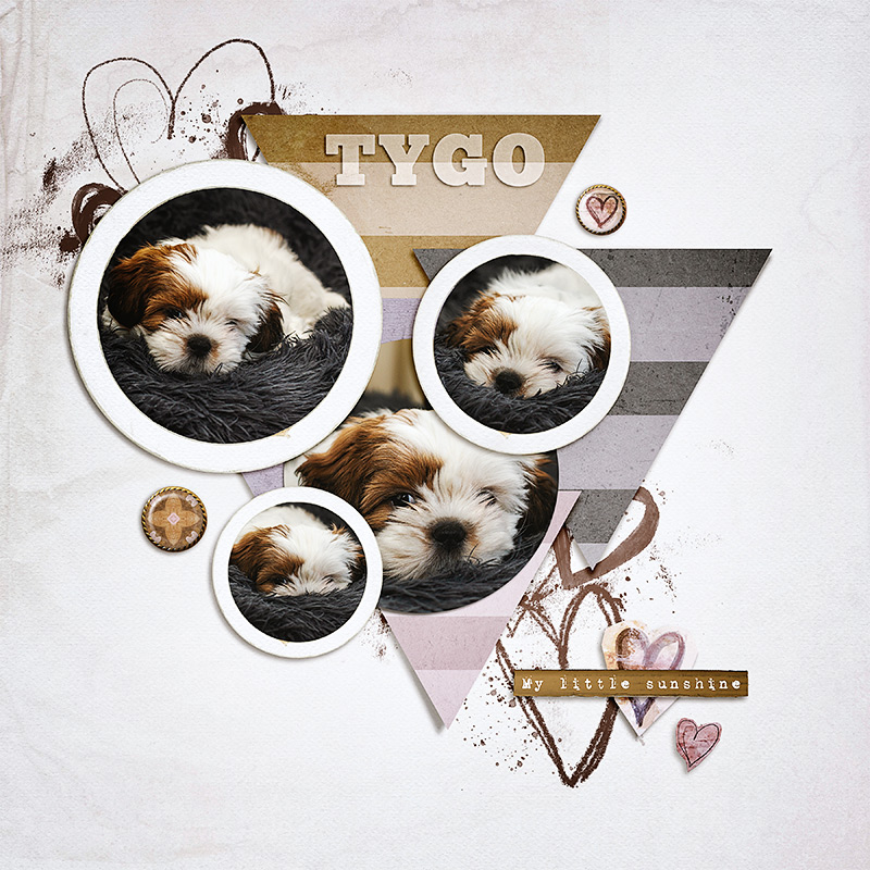 Tygo