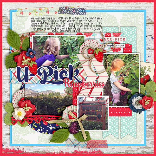 u-pick raspberries